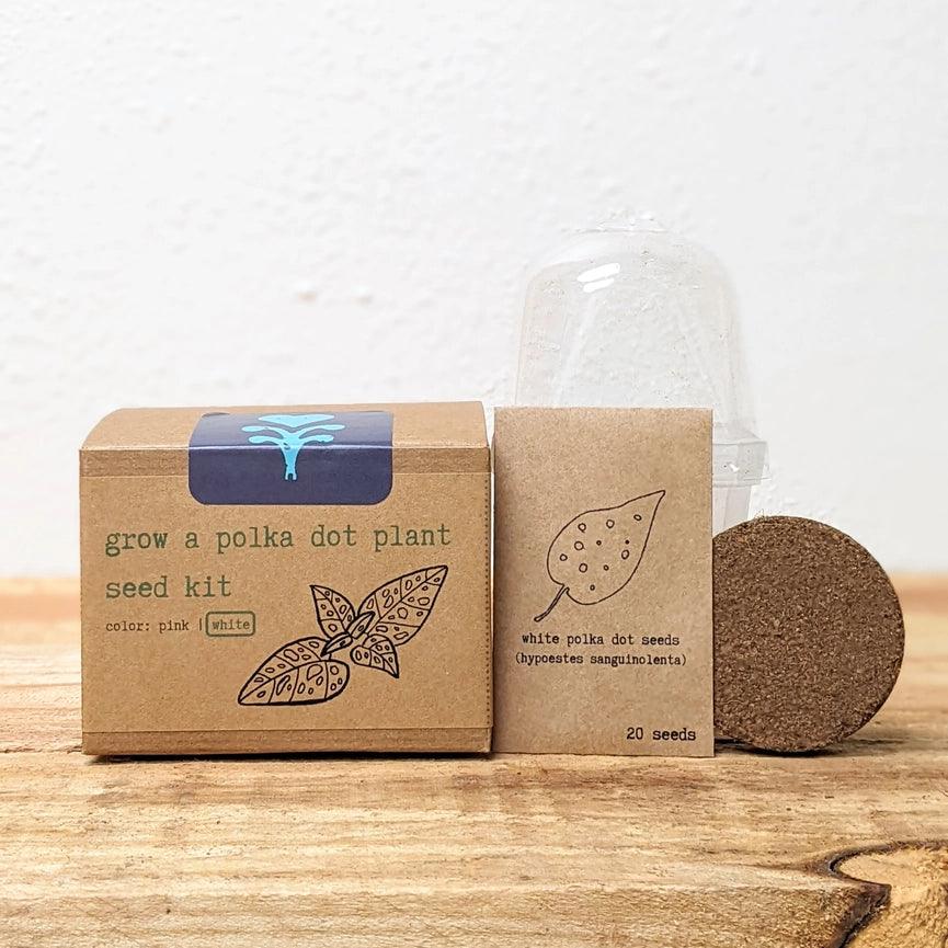 Polka Dot Plant Kit - Pink - Giften Market