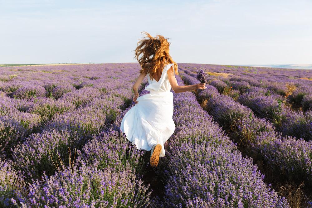 Woman holding lavender bouquet walking through a blooming lavender field outdoors