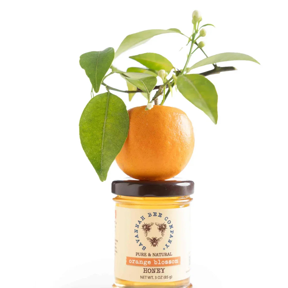 Orange blossom honey jar with fresh orange and leaves on white background