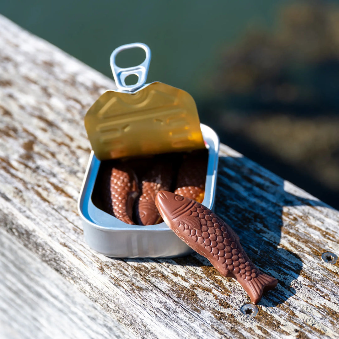 Open Milk Chocolate Sardines tin with one chocolate fish resting against it on a dock