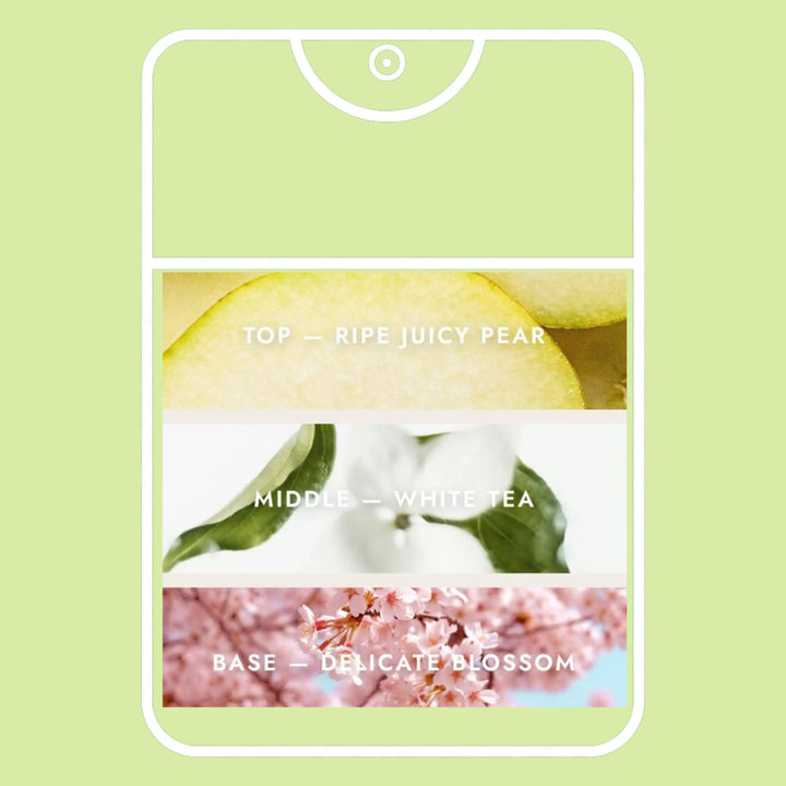 Graphic of the pocket mister listing its scent notes: ripe juicy pear, white tea and delicate blossom