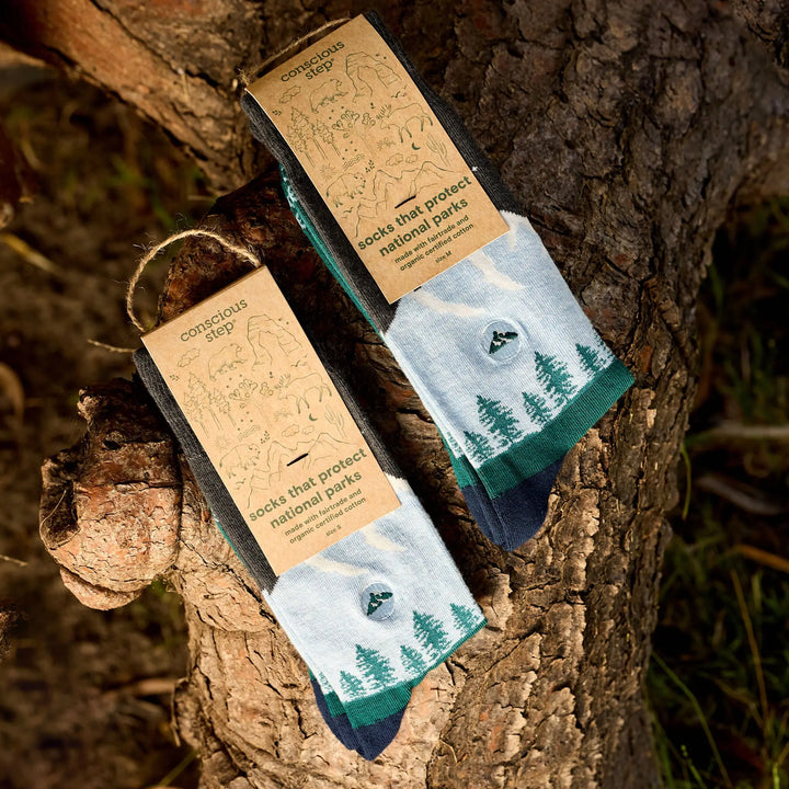 Two tagged pairs of mountain socks resting on a tree branch