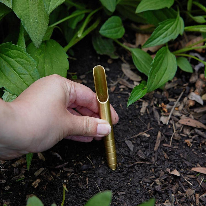 Heirloom Vegetables Seed Library