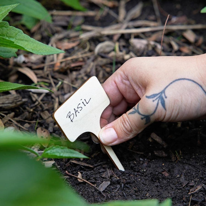 Heirloom Vegetables Seed Library