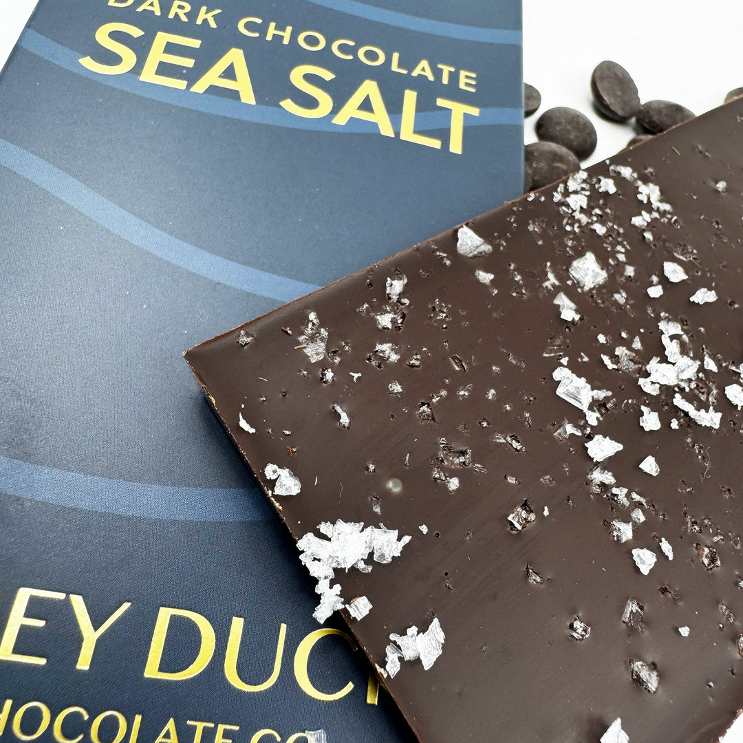 Sea Salt Dark Chocolate Bar