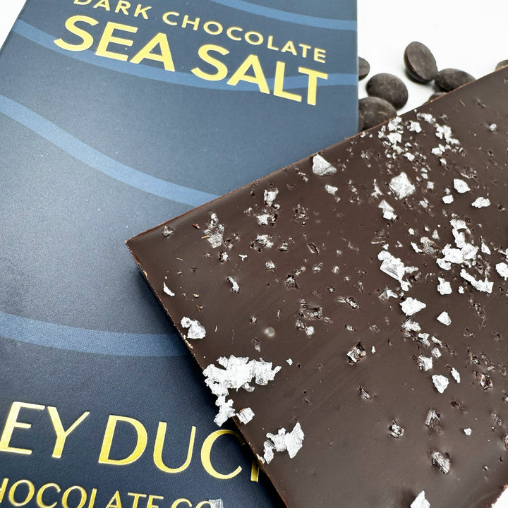 Sea Salt Dark Chocolate Bar