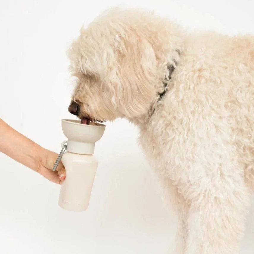 Flip Silicone Dog Travel Water Bottle 20oz