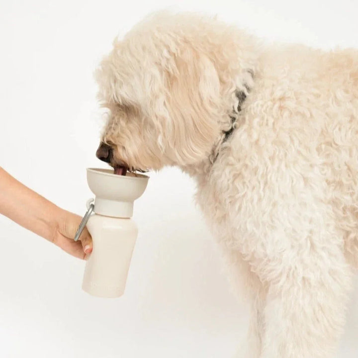 Flip Silicone Dog Travel Water Bottle 20oz