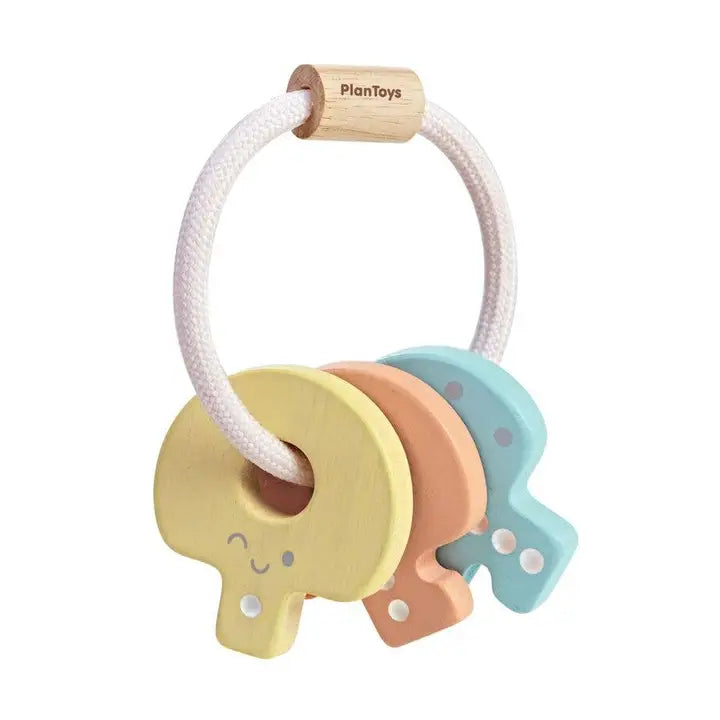 Key Ring Rattle Toy