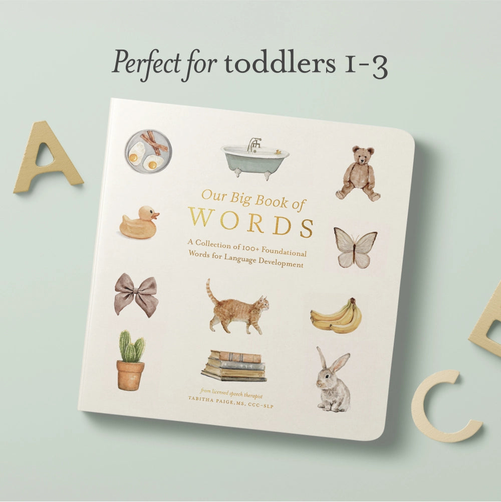 Our Big Book of First Words