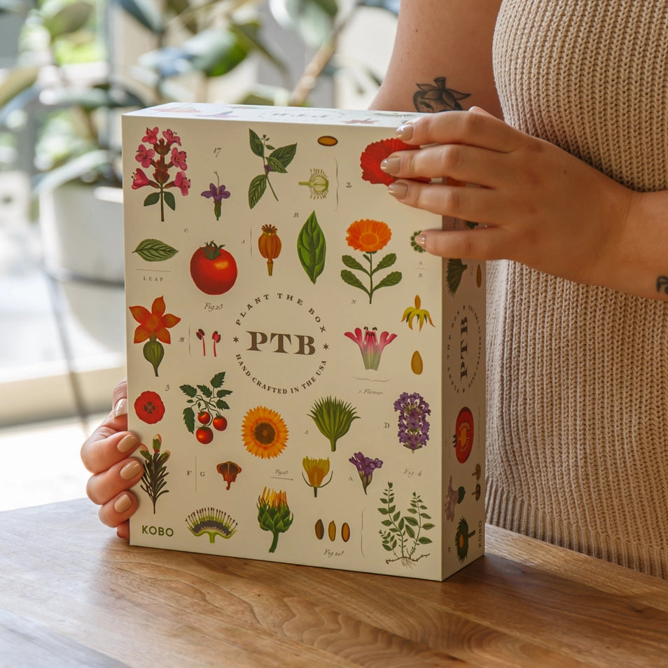 Plant the Box Votive Gift Set