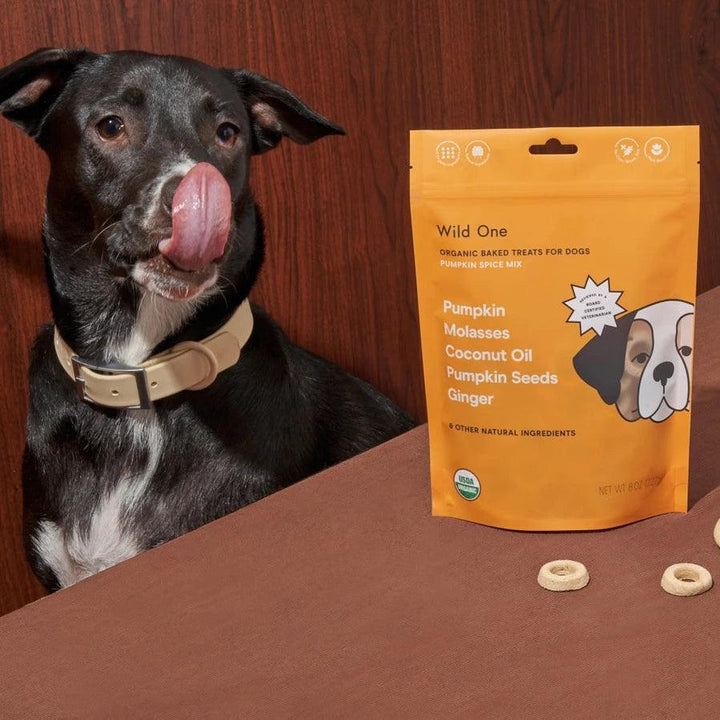 Organic Baked Dog Treats - Pumpkin Spice