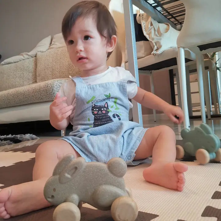 Push Along Bunny Toy - Gray