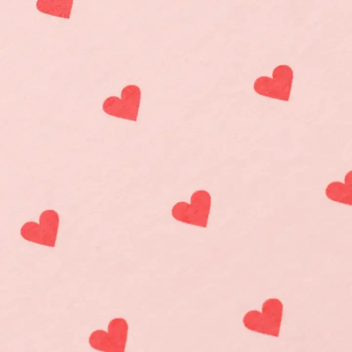 Coming Home Baby Blanket - Pink Hearts