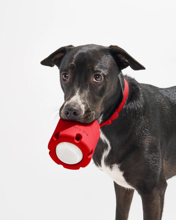 Strawberry Tennis Tumble Dog Toy