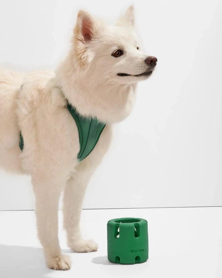 Spruce Tennis Tumble Dog Toy