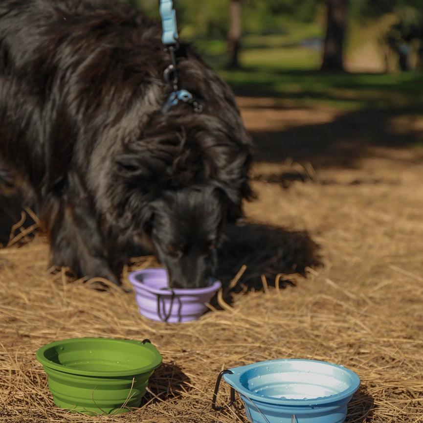 Silicone Collapsible Dog Bowl - Purple