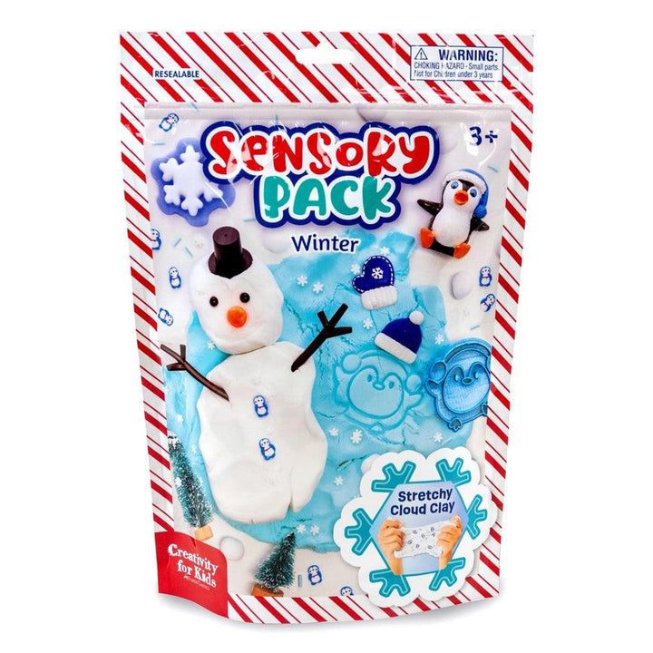 Winter & Holiday Sensory Play Set