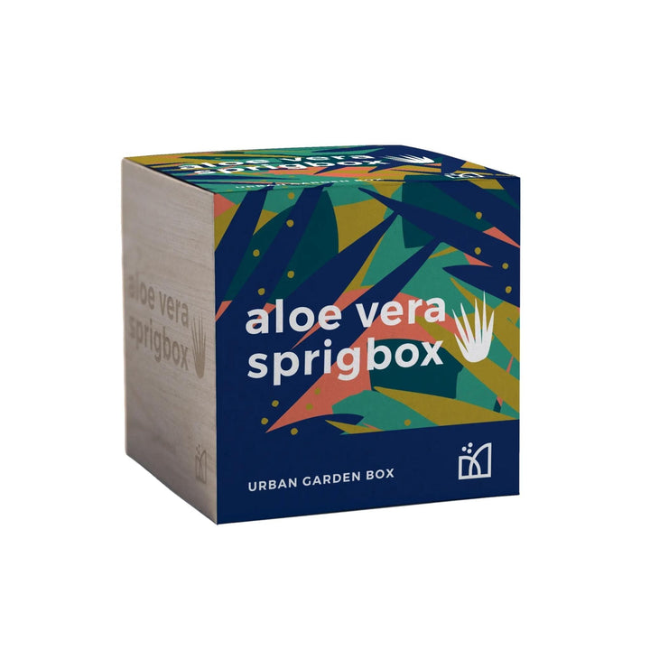 Aloe Vera Grow Kit - Giften Market