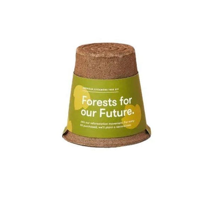 American Sycamore - One-For-One Tree Kit - Giften Market