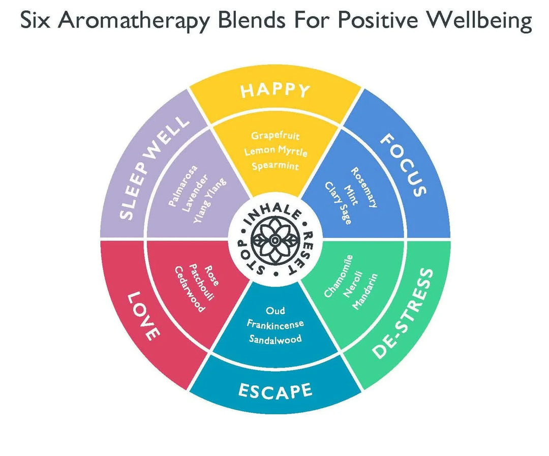 Aromatherapy Balm Discovery Set