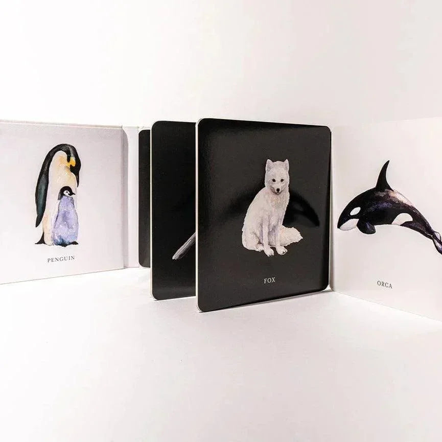 Baby's Black & White Contrast Book - Giften Market