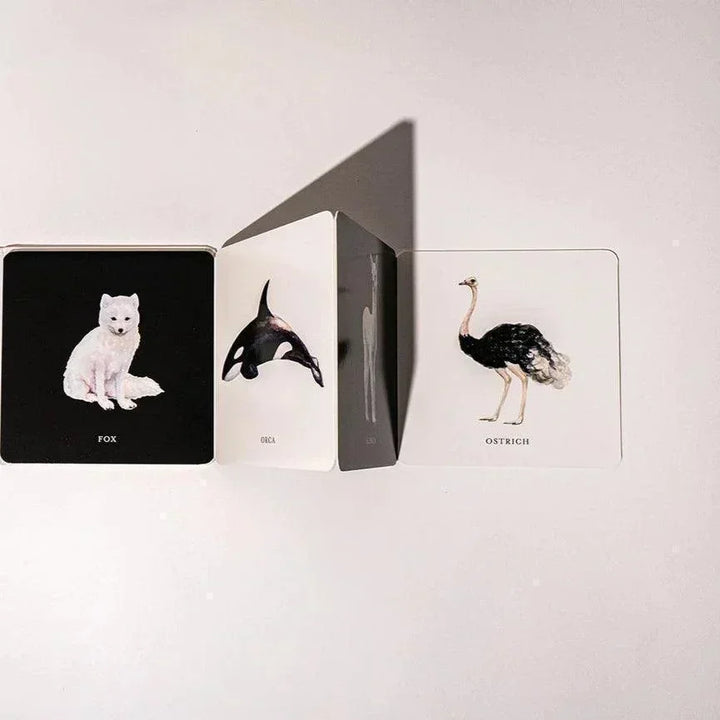 Baby's Black & White Contrast Book - Giften Market