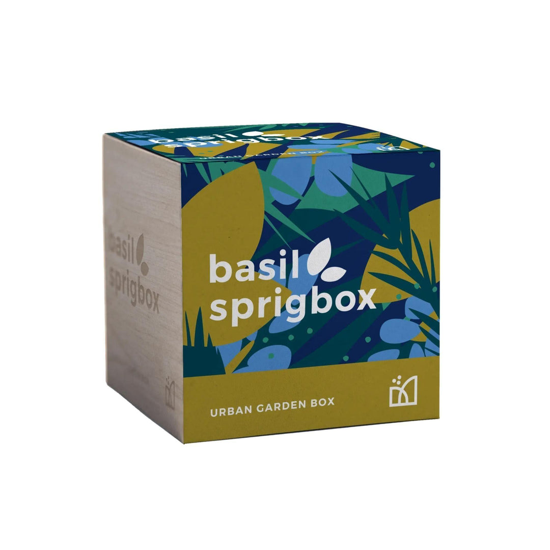 Basil Grow Kit - Giften Market