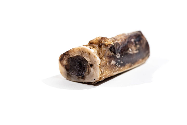 Bison Marrow Dog Bone - Giften Market