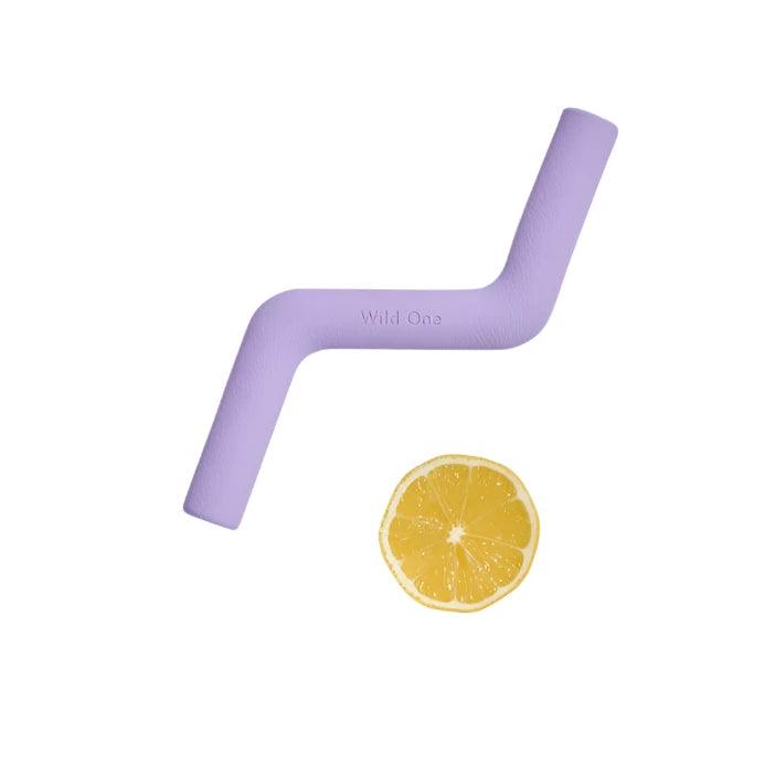 Bolt Bite Dog Chew Toy - Giften Market