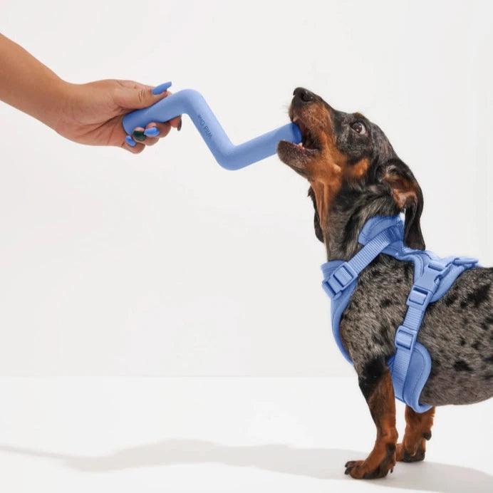 Bolt Bite Dog Chew Toy - Giften Market