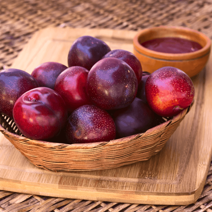 Cashmere Plum Gold Travel Candle - Giften Market