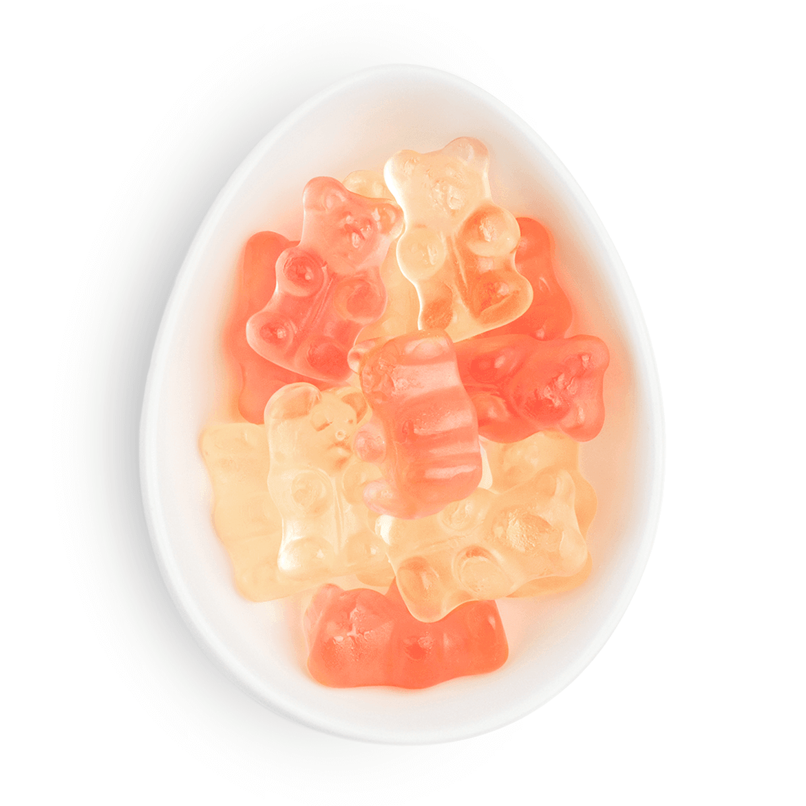 Champagne Bears - Small Candy Cube - Giften Market