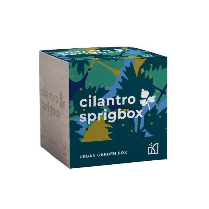 Cilantro Grow Kit - Giften Market