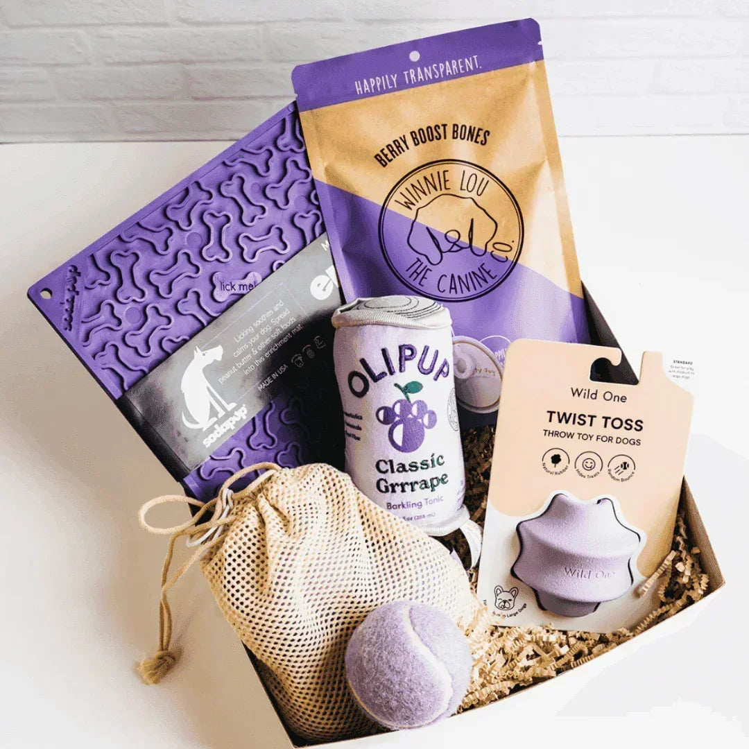 Dog Days Gift Basket - Giften Market