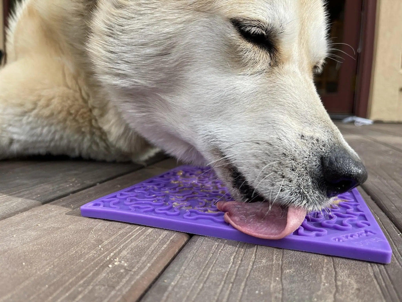 Dog Enrichment Licking Mat - Purple Bones - Giften Market