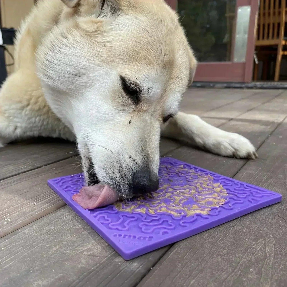 Dog Enrichment Licking Mat - Purple Bones - Giften Market