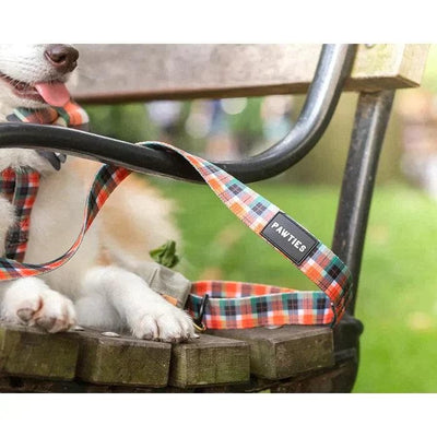 Dog Leash- Ranger - Giften Market