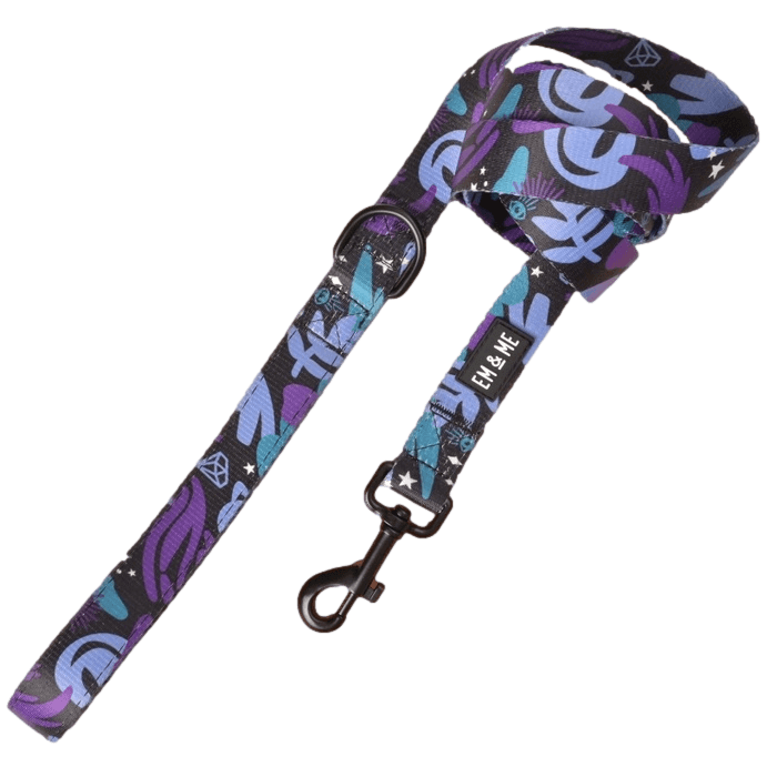 Dog Leash- Spooky Magic - Giften Market