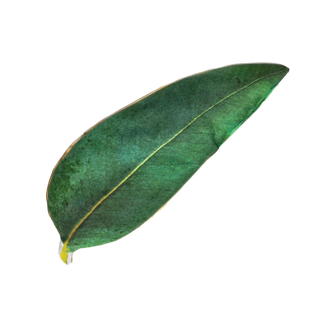 Eucalyptus Leaf Pillow - Giften Market