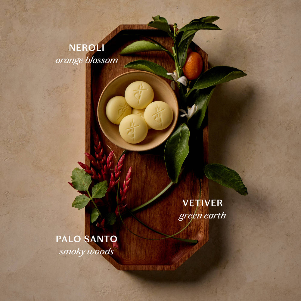 Palo Santo & Vetiver Pebbles in the retail tray with botanical artwork