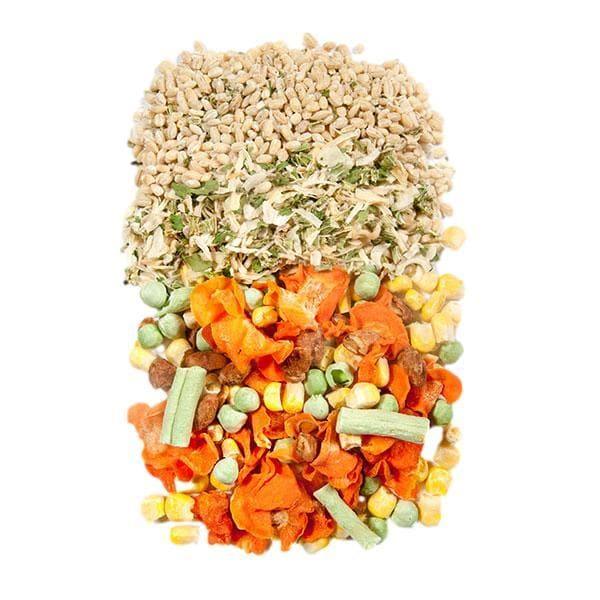 Garden Vegetable Soup - Giften Market