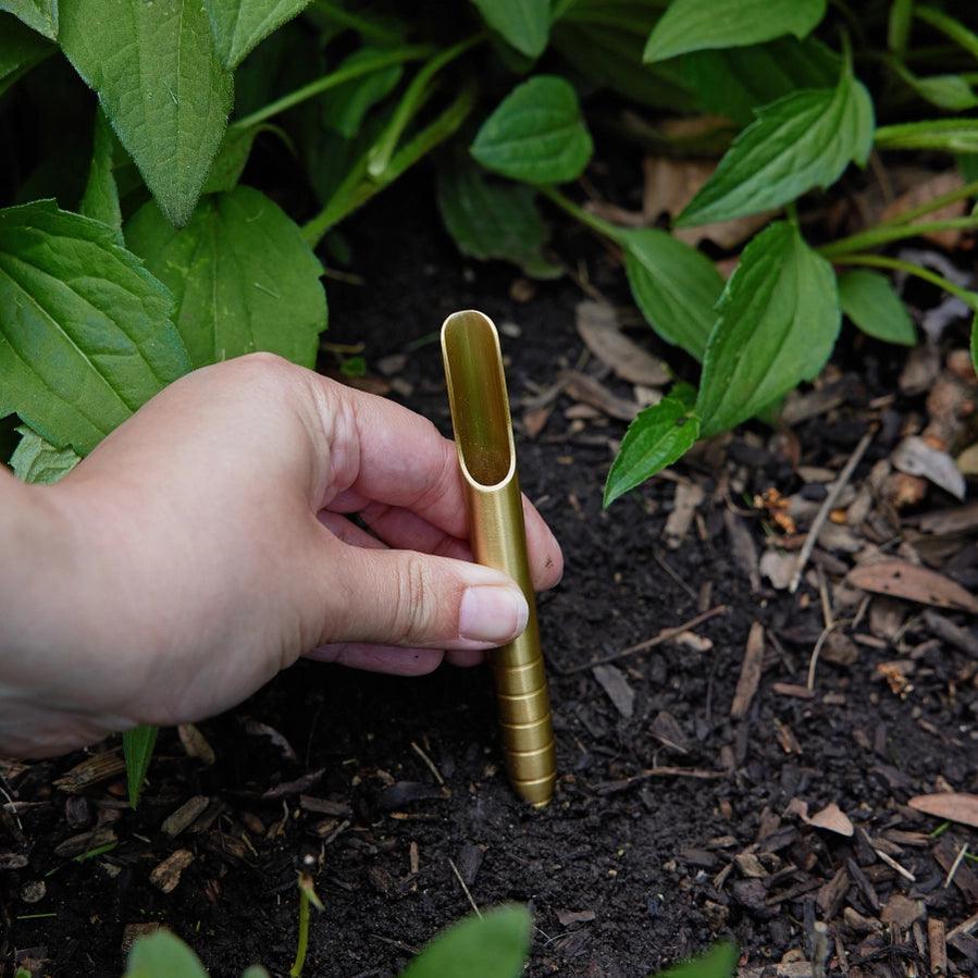 Heirloom Vegetables Seed Library - Giften Market