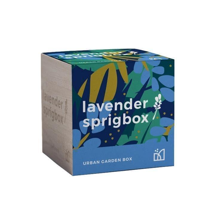 Lavender Grow Kit - Giften Market