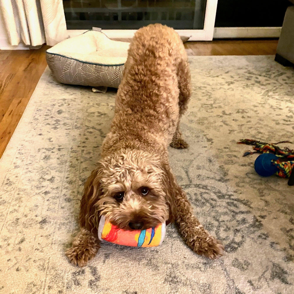 LickCroix Pamplemutt Barkling Water Dog Toy - Giften Market