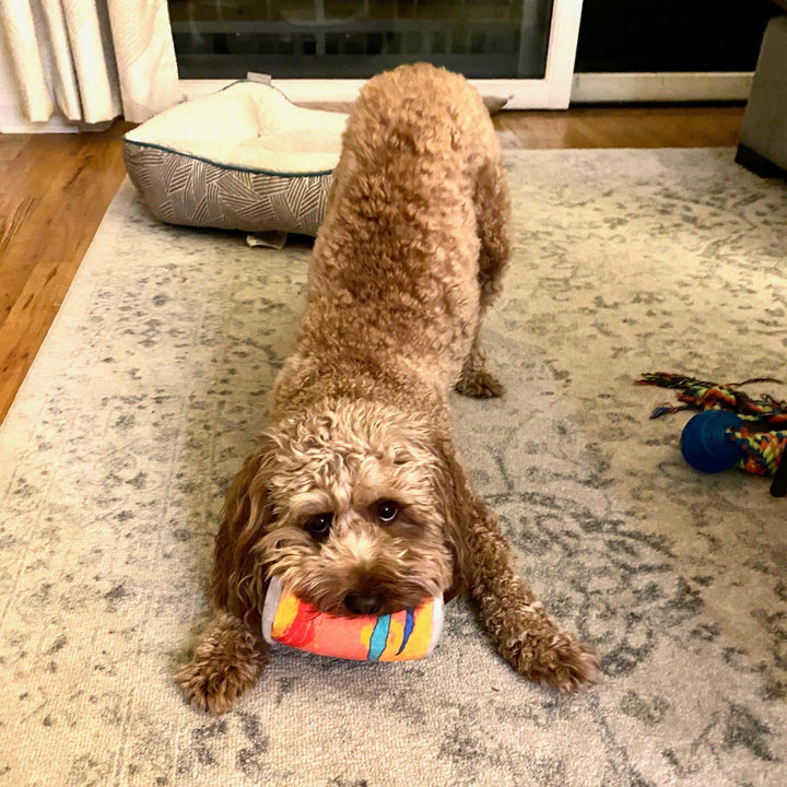 LickCroix Pamplemutt Barkling Water Dog Toy - Giften Market