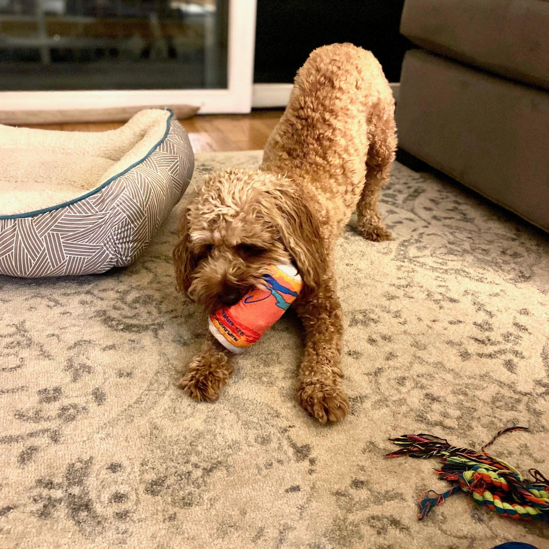 LickCroix Pamplemutt Barkling Water Dog Toy - Giften Market
