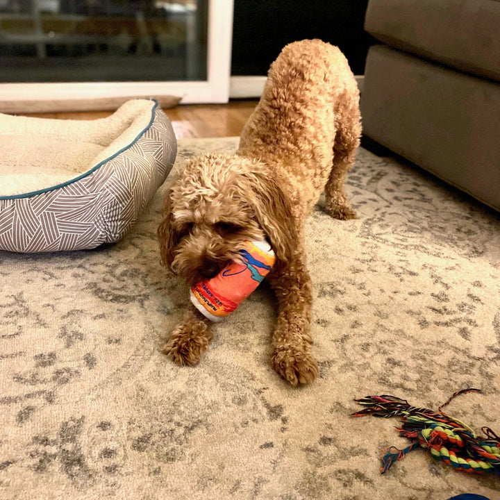 LickCroix Pamplemutt Barkling Water Dog Toy - Giften Market