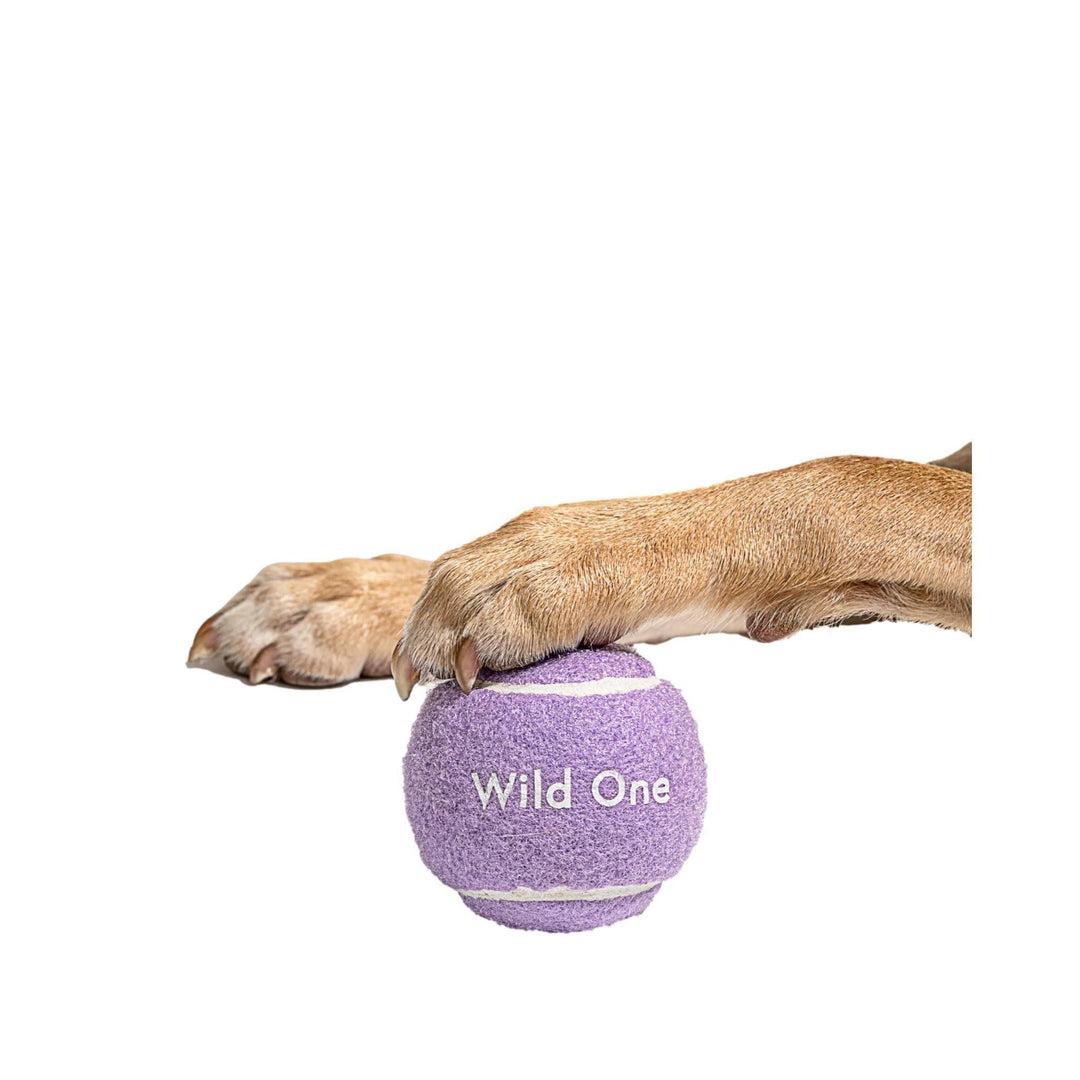 Lilac Tennis Balls - Set of 4 - Giften Market