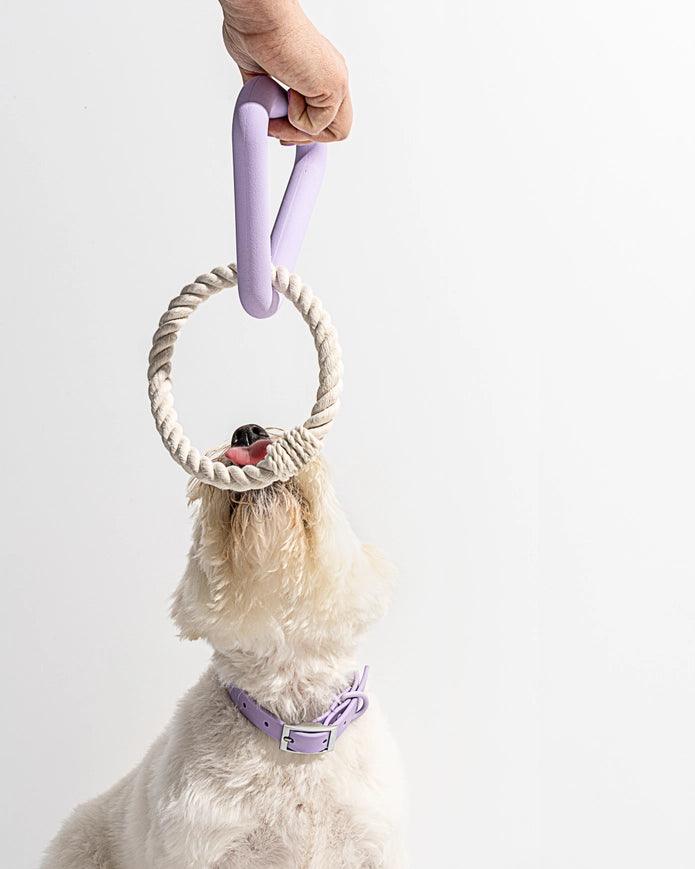 Lilac Triangle Tug Toy - Giften Market